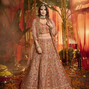 Lehenga Choli,Festive wear (pure organza)